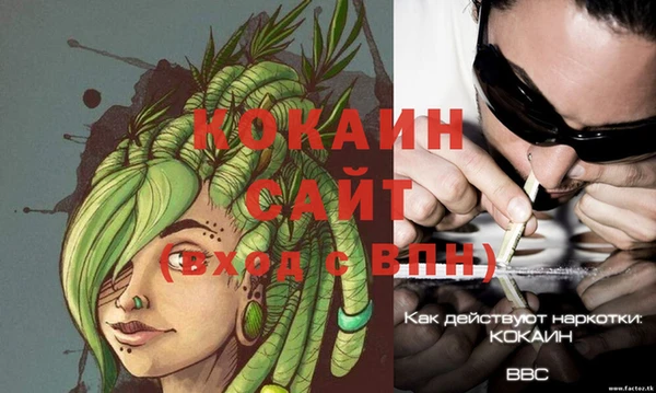 стаф Абинск