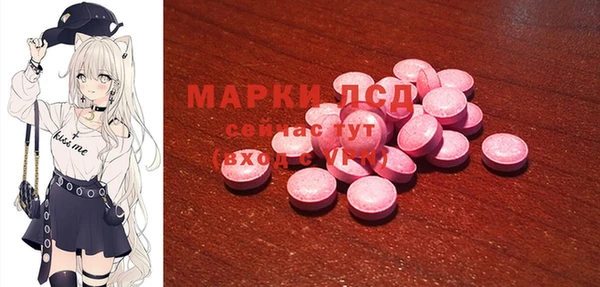 стаф Абинск