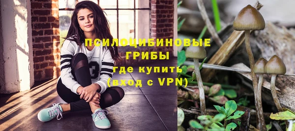 spice Абаза