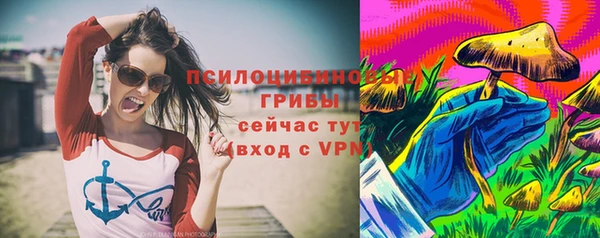 стаф Абинск