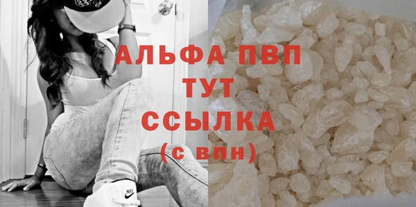 стаф Абинск