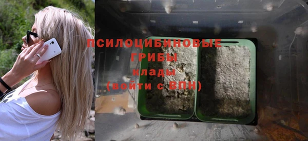 стаф Абинск