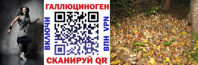 Галлюциногенные грибы Psilocybine cubensis  Тольятти 