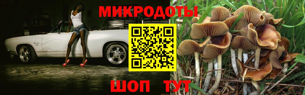 Тольятти  Псилоцибиновые грибы мицелий  Вход с VPN 